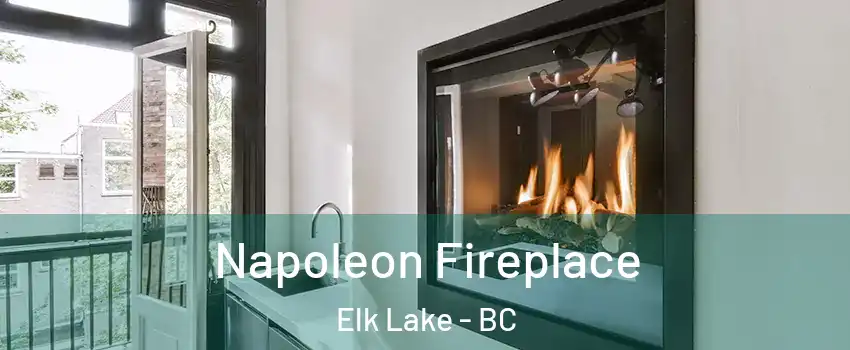  Napoleon Fireplace Elk Lake - BC