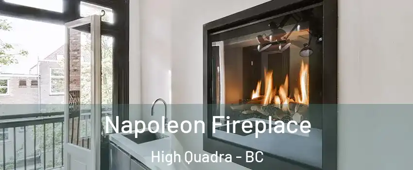  Napoleon Fireplace High Quadra - BC