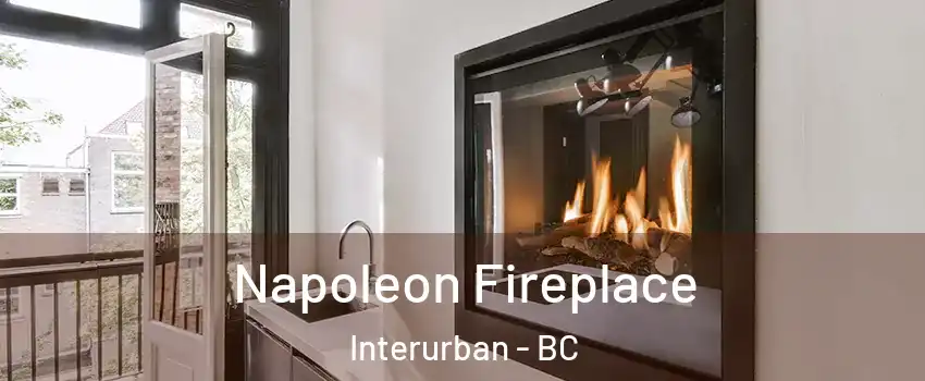  Napoleon Fireplace Interurban - BC