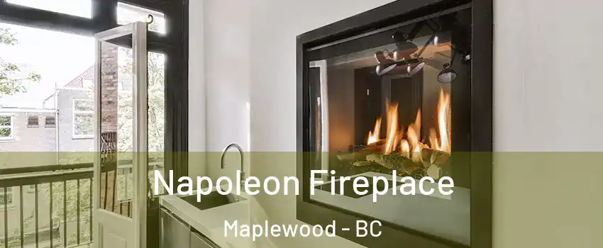  Napoleon Fireplace Maplewood - BC