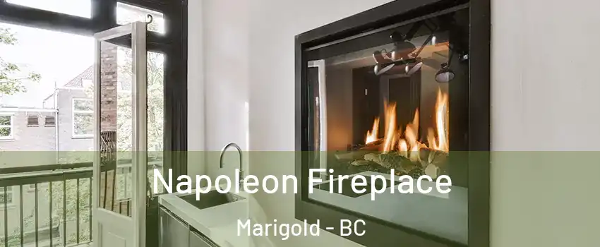  Napoleon Fireplace Marigold - BC