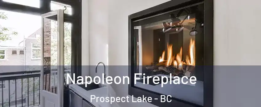  Napoleon Fireplace Prospect Lake - BC