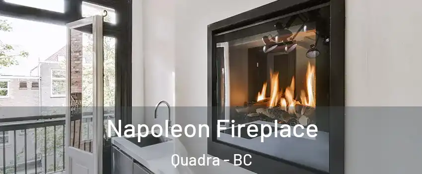  Napoleon Fireplace Quadra - BC