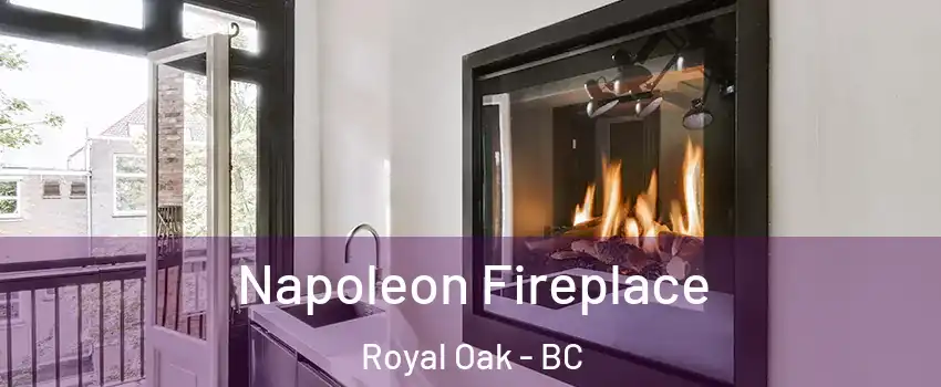  Napoleon Fireplace Royal Oak - BC