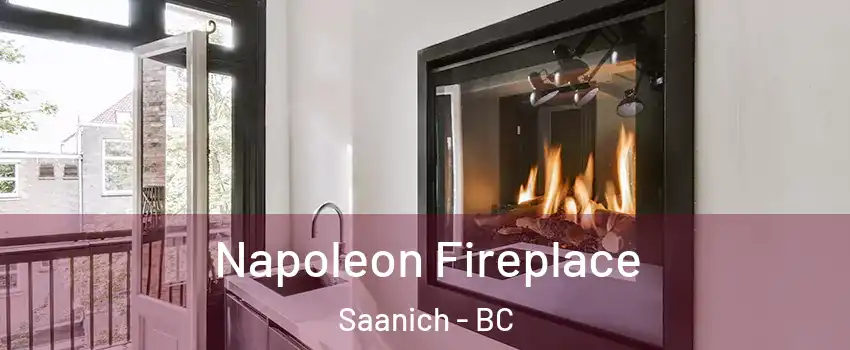  Napoleon Fireplace Saanich - BC