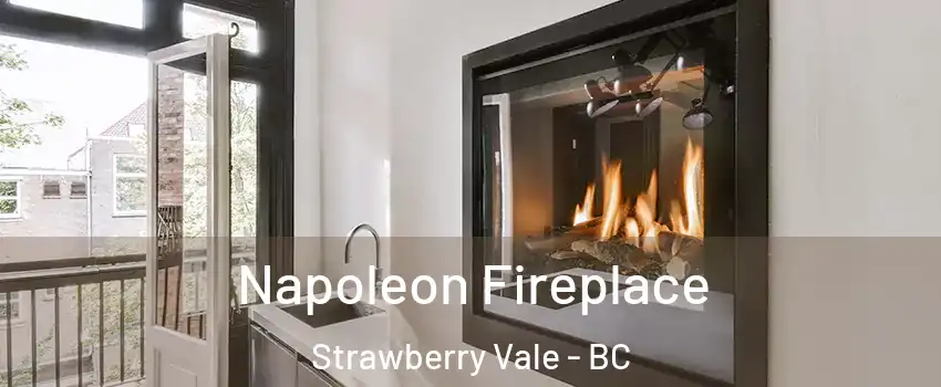  Napoleon Fireplace Strawberry Vale - BC
