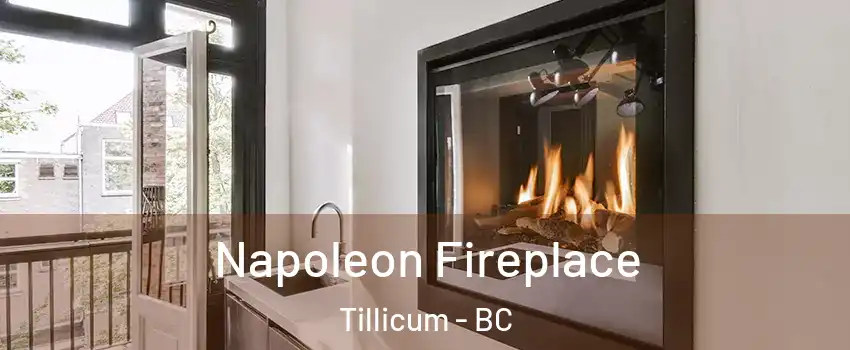 Napoleon Fireplace Tillicum - BC