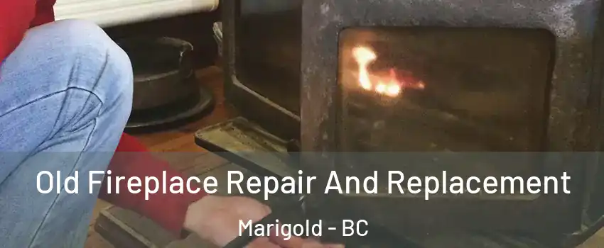  Old Fireplace Repair And Replacement Marigold - BC