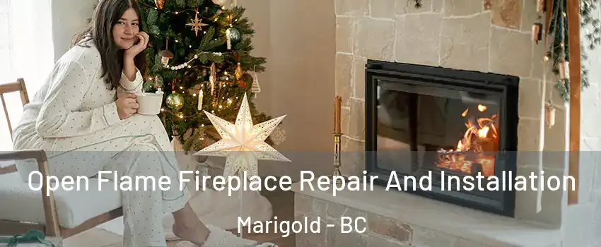  Open Flame Fireplace Repair And Installation Marigold - BC