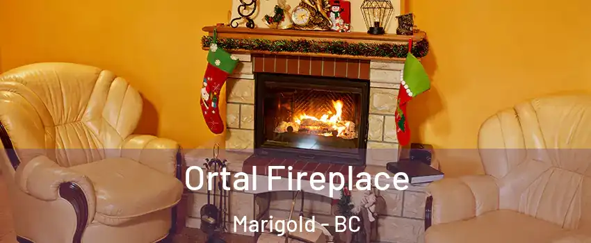 Ortal Fireplace Marigold - BC