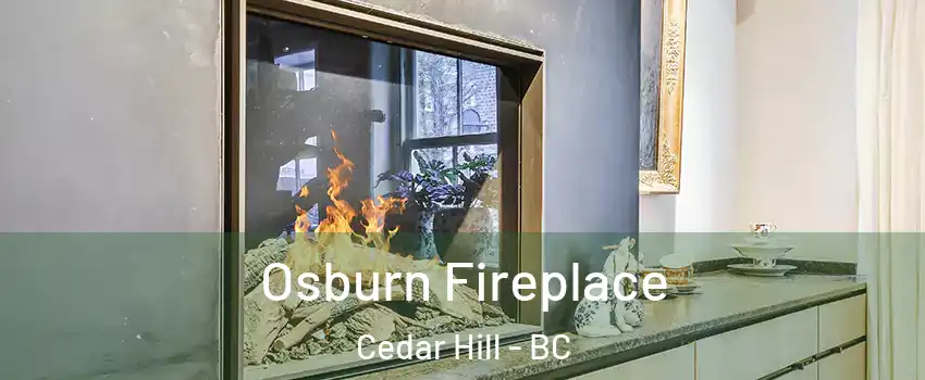  Osburn Fireplace Cedar Hill - BC