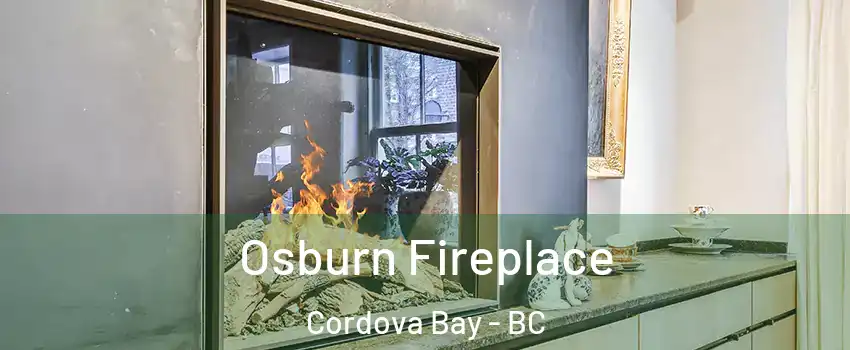  Osburn Fireplace Cordova Bay - BC