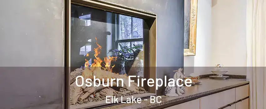  Osburn Fireplace Elk Lake - BC
