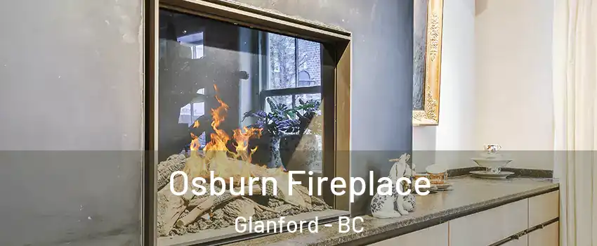  Osburn Fireplace Glanford - BC