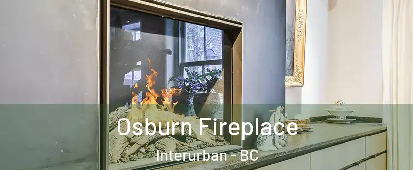  Osburn Fireplace Interurban - BC