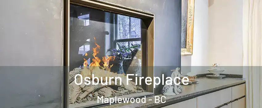  Osburn Fireplace Maplewood - BC