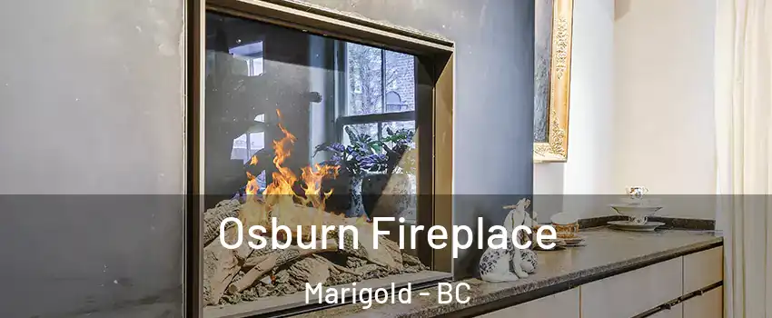  Osburn Fireplace Marigold - BC