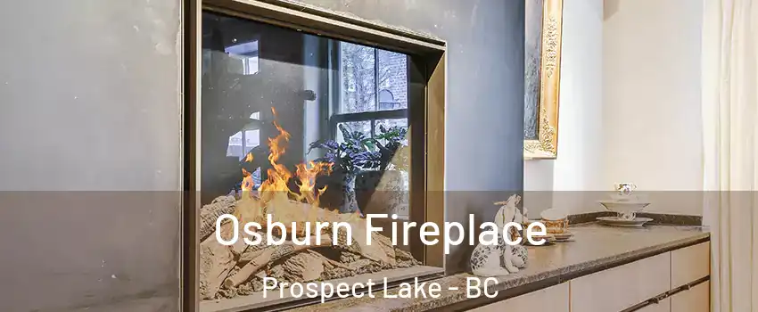  Osburn Fireplace Prospect Lake - BC