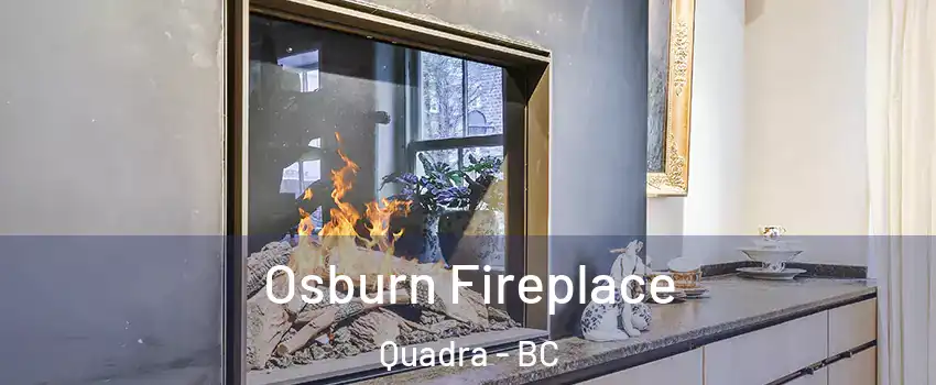  Osburn Fireplace Quadra - BC