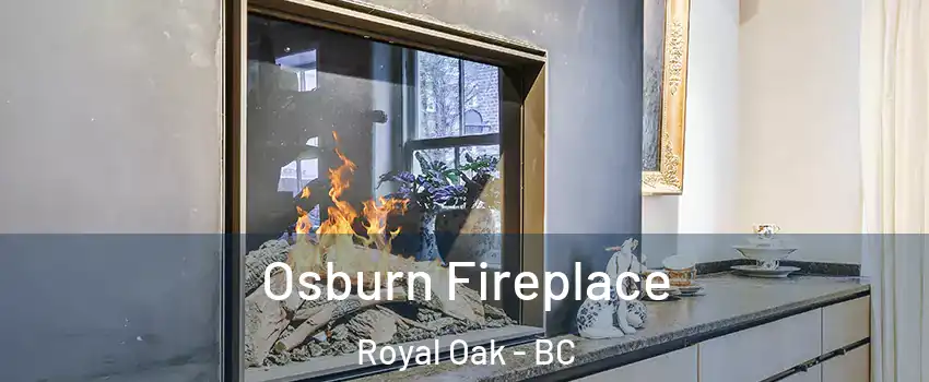  Osburn Fireplace Royal Oak - BC
