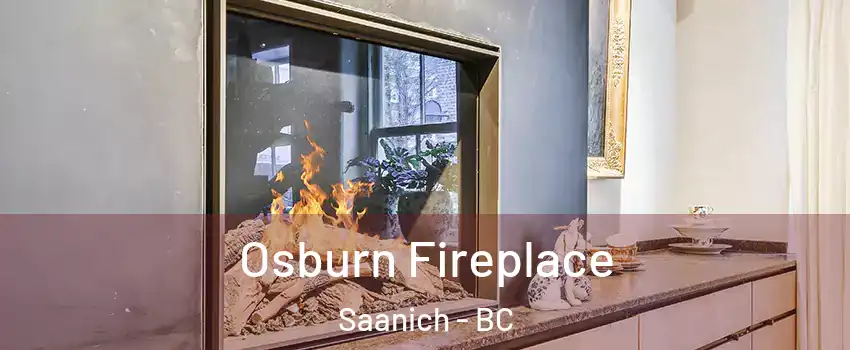  Osburn Fireplace Saanich - BC