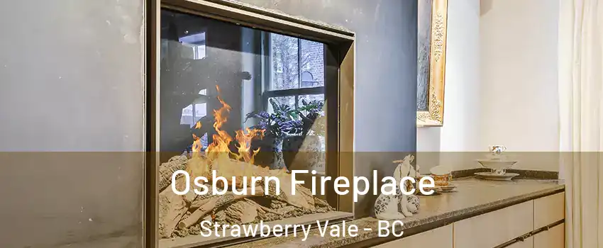 Osburn Fireplace Strawberry Vale - BC