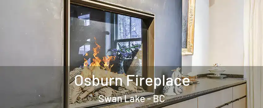  Osburn Fireplace Swan Lake - BC