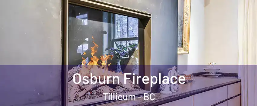  Osburn Fireplace Tillicum - BC