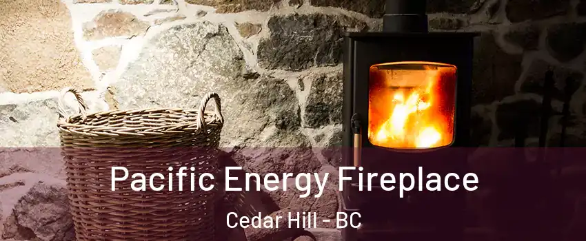  Pacific Energy Fireplace Cedar Hill - BC