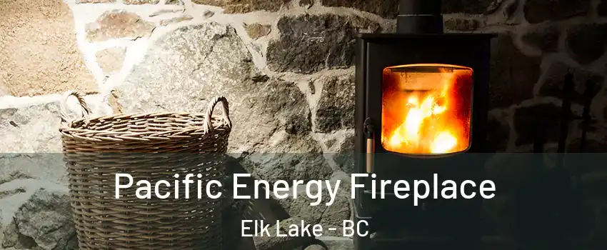  Pacific Energy Fireplace Elk Lake - BC