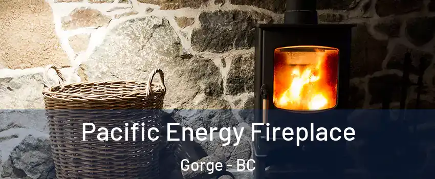 Pacific Energy Fireplace Gorge - BC