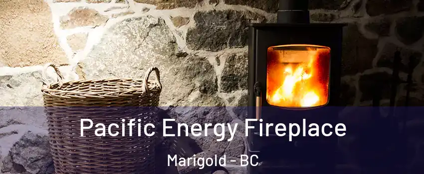 Pacific Energy Fireplace Marigold - BC