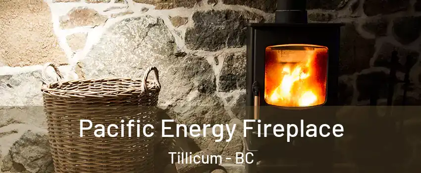  Pacific Energy Fireplace Tillicum - BC