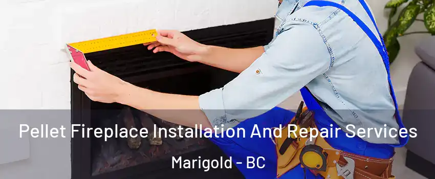  Pellet Fireplace Installation And Repair Services Marigold - BC