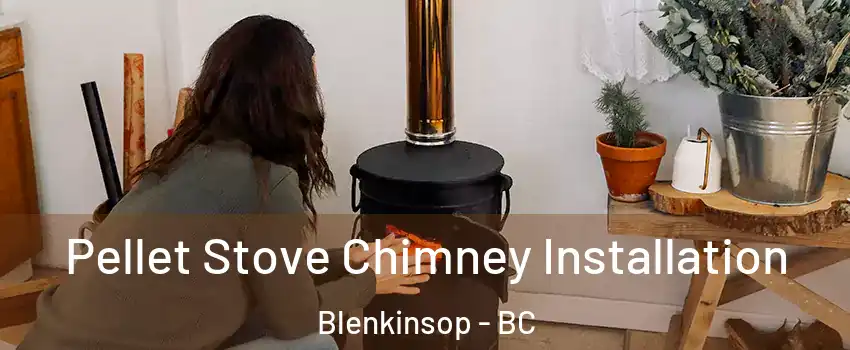 Pellet Stove Chimney Installation Blenkinsop - BC