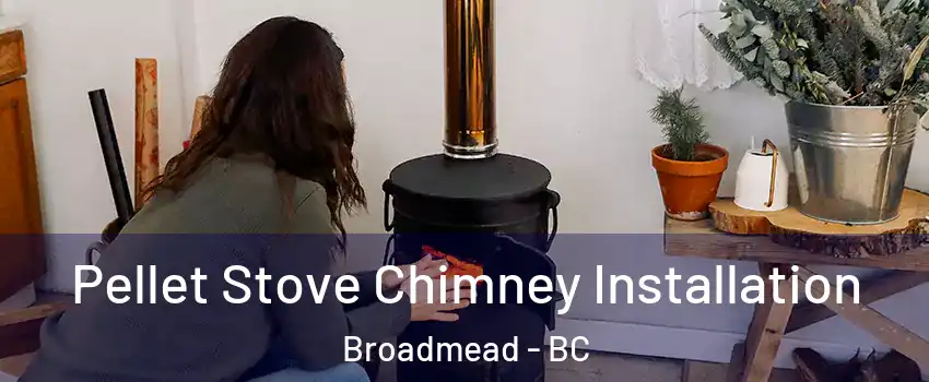 Pellet Stove Chimney Installation Broadmead - BC