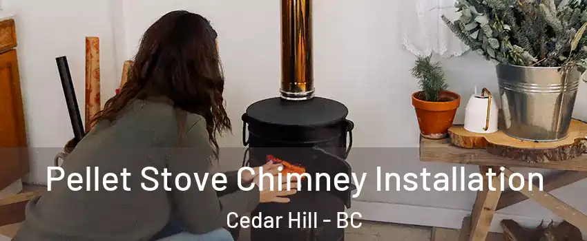 Pellet Stove Chimney Installation Cedar Hill - BC