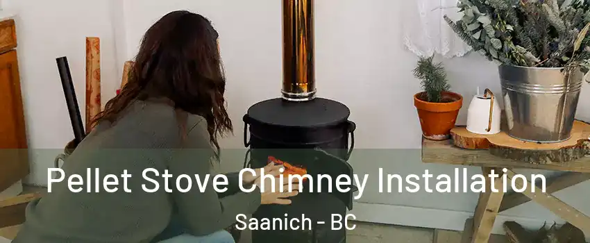 Pellet Stove Chimney Installation Saanich - BC