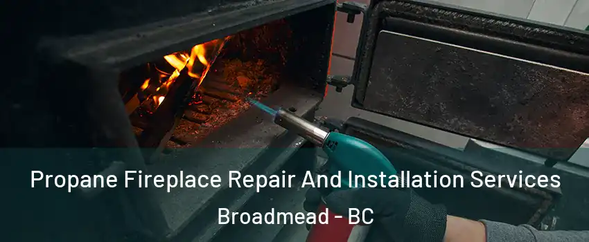Propane Fireplace Repair And Installation Services Broadmead - BC