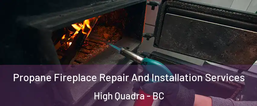  Propane Fireplace Repair And Installation Services High Quadra - BC