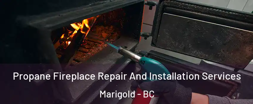  Propane Fireplace Repair And Installation Services Marigold - BC