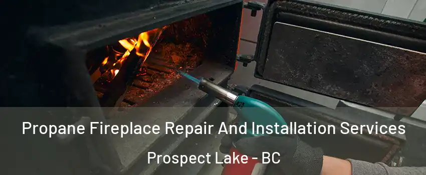  Propane Fireplace Repair And Installation Services Prospect Lake - BC