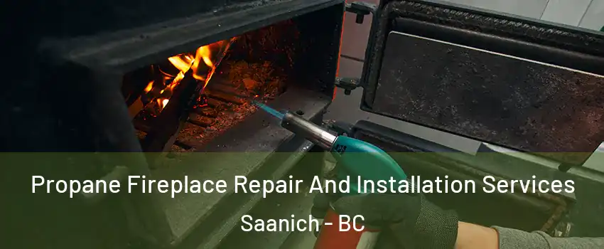 Propane Fireplace Repair And Installation Services Saanich - BC