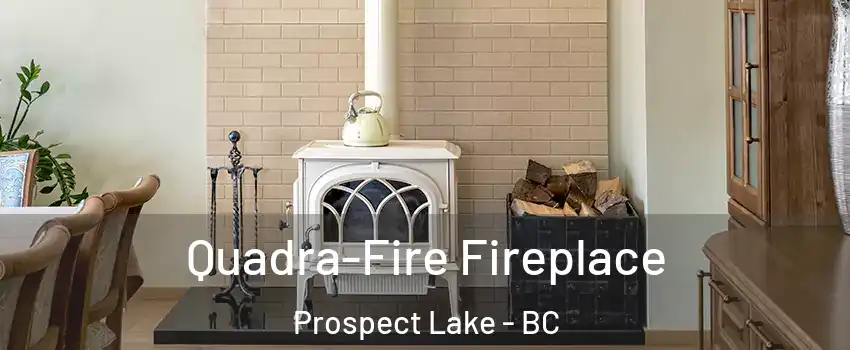  Quadra-Fire Fireplace Prospect Lake - BC