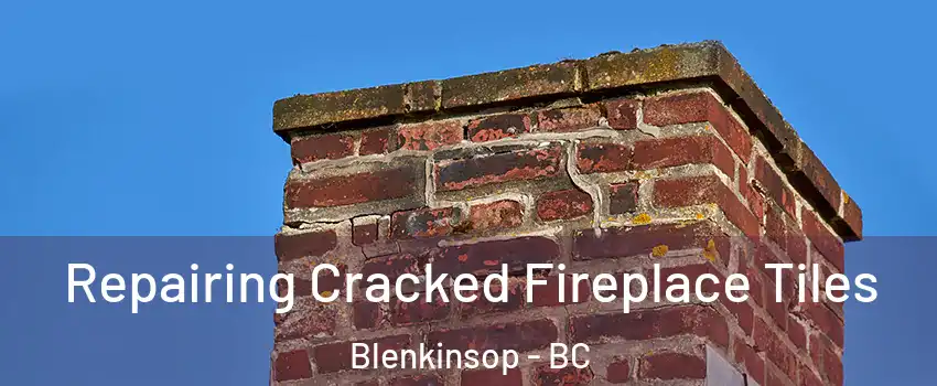  Repairing Cracked Fireplace Tiles Blenkinsop - BC