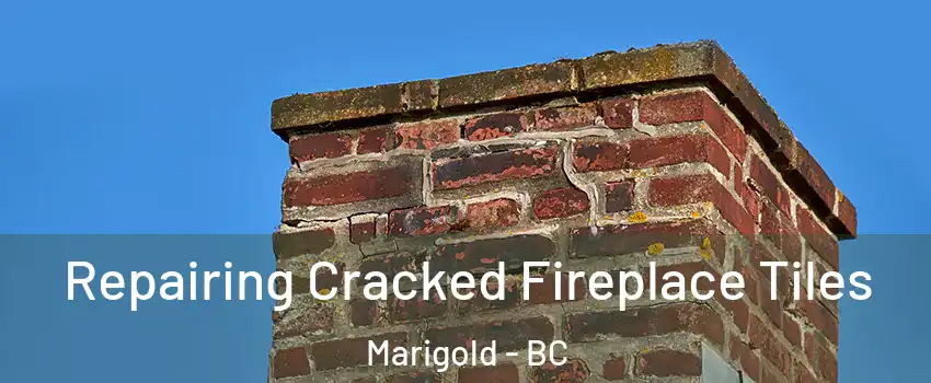  Repairing Cracked Fireplace Tiles Marigold - BC