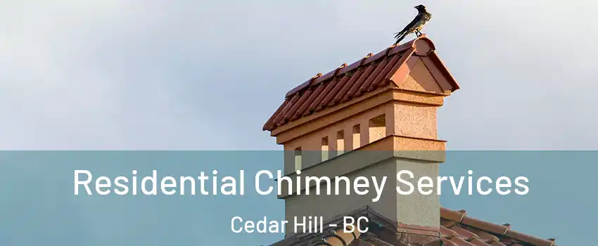  Residential Chimney Services Cedar Hill - BC