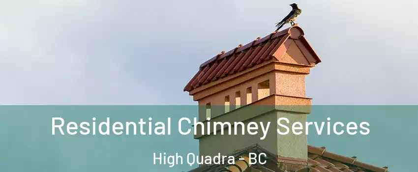  Residential Chimney Services High Quadra - BC