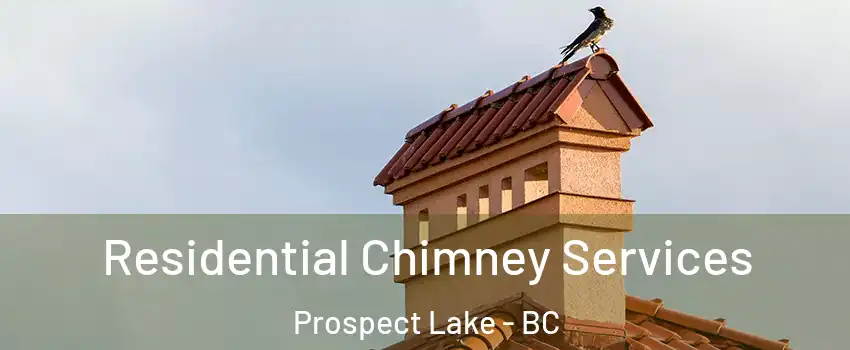 Residential Chimney Services Prospect Lake - BC
