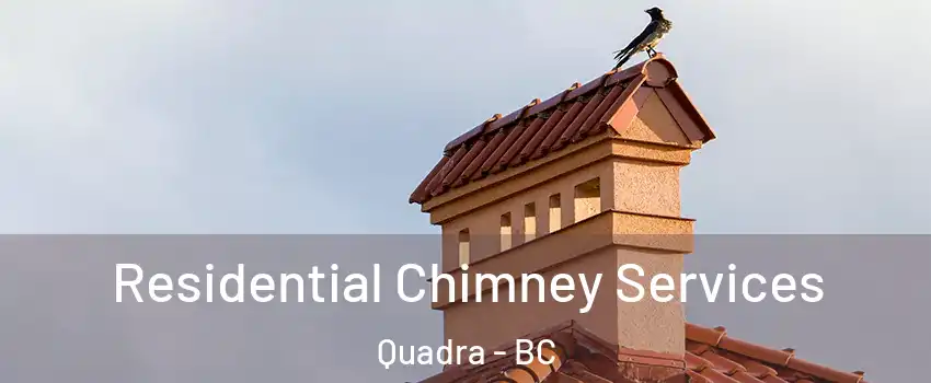 Residential Chimney Services Quadra - BC